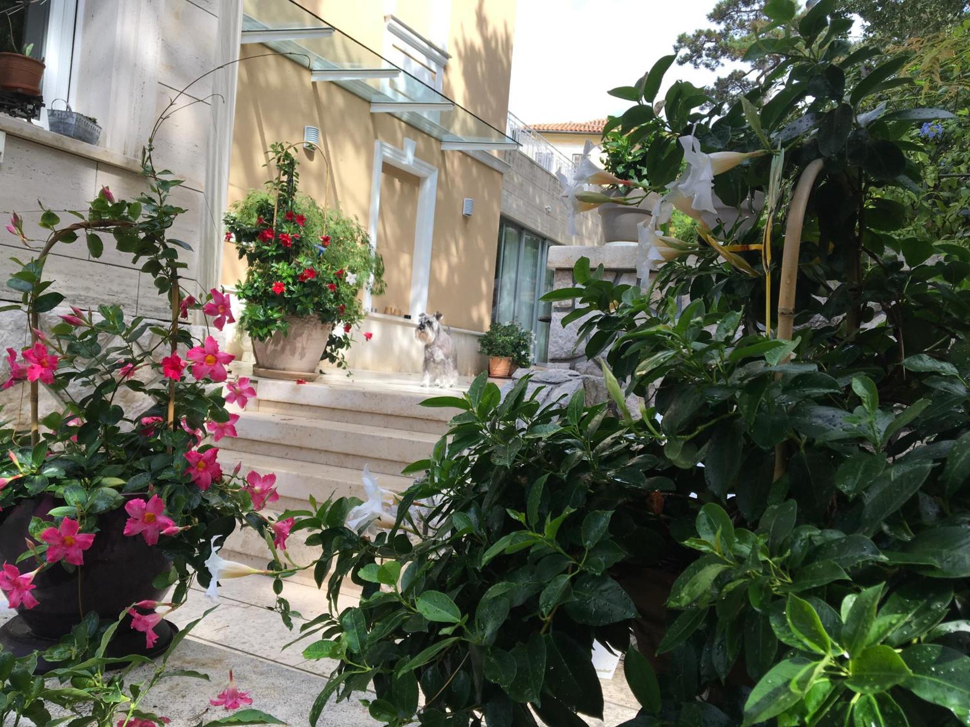 Guest House Villa Dagmar - Exclusive Crikvenica Exterior foto